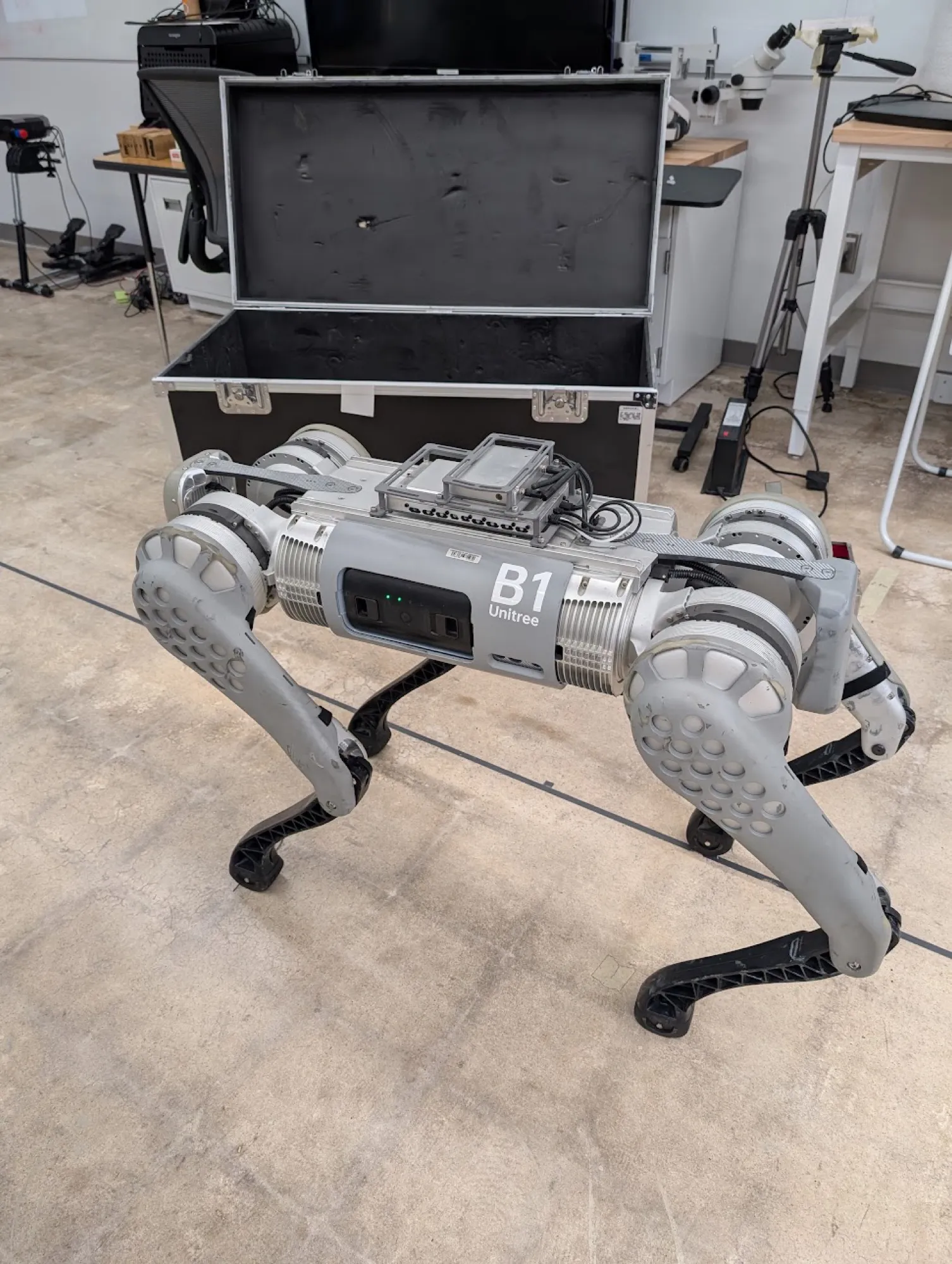 The B1 quadruped robot standing in the lab.